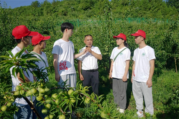 实践团走进李子园