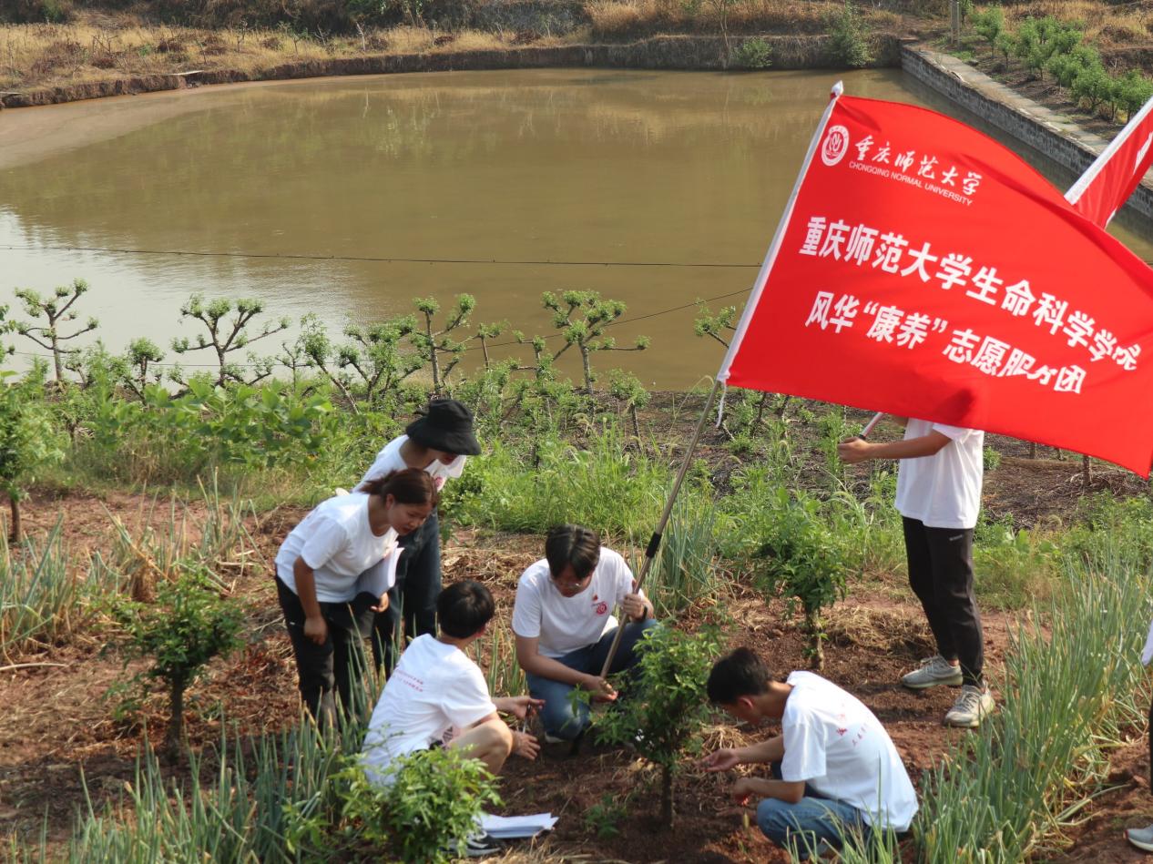 3.服务团走进花椒地察椒叶、尝椒果